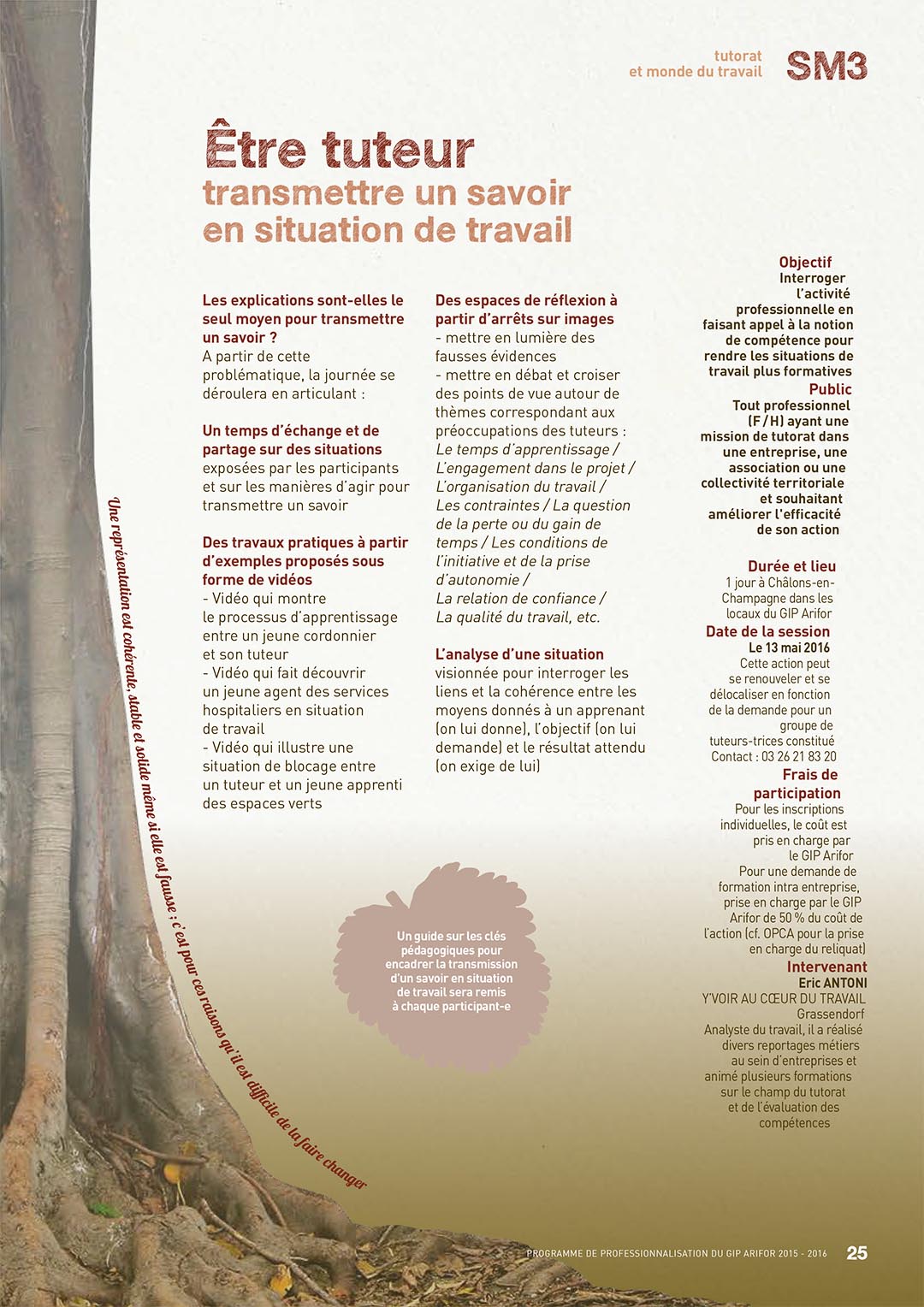 Formation tuteurs