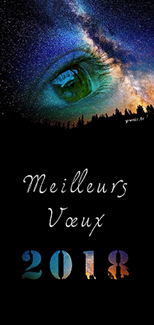 Voeux2018
